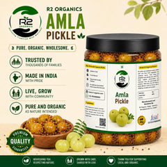 R2 Organics Amla Pickle, Homemade Sun Dried, Chemical-Free, Glass Jar, Authentic Indian Taste, in Mustard Oil