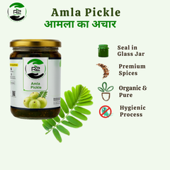 R2 Organics Amla Pickle, Homemade Sun Dried, Chemical-Free, Glass Jar, Authentic Indian Taste, in Mustard Oil